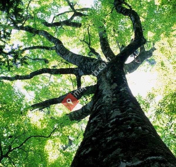 A PART Event & Art Management