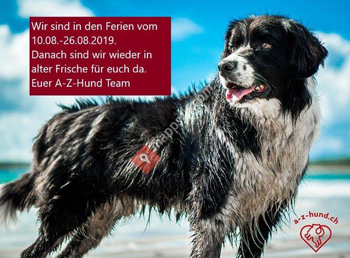 A-Z-Hund