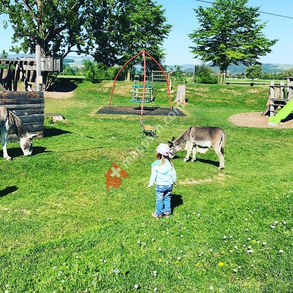 Abenteuerspielplatz Arbeitsgemeinschaft Fröschenmatt