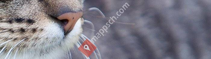 achilles-vetclinic.ag