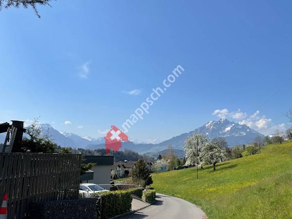 Adligenswil, Luegisland