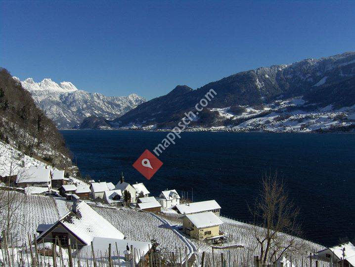 Adventskalender Quinten