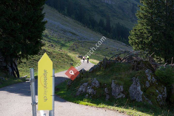 alpsteinbike.ch