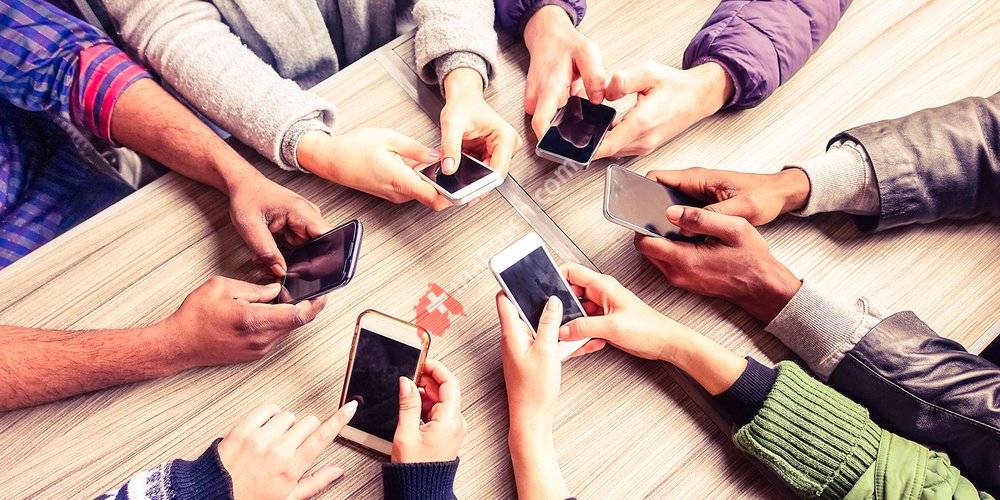 Amselhof Interactive