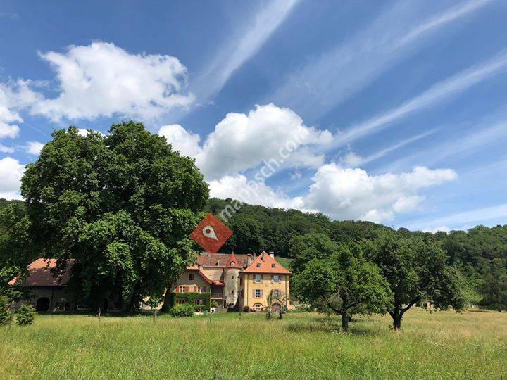 Ancienne Chartreuse de la Lance