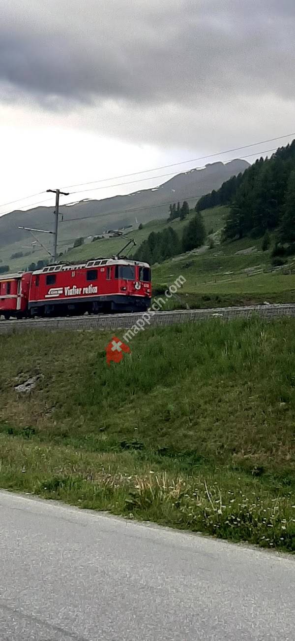 Angelini Hoch & Tiefbau AG