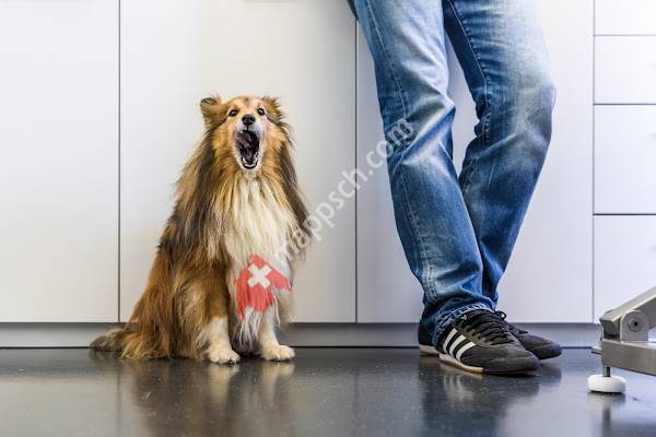 AniCura Tierklinik Thun AG