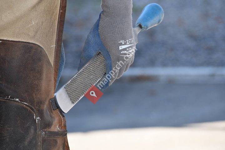 Armin Eberle Huforthopädie