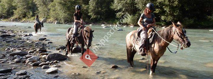 Ausritte / Pferdetrekking in den Bergen