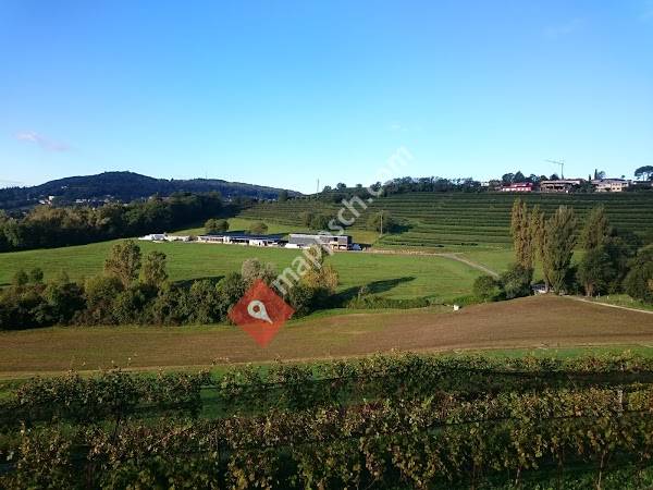 Azienda agraria cantonale di Mezzana