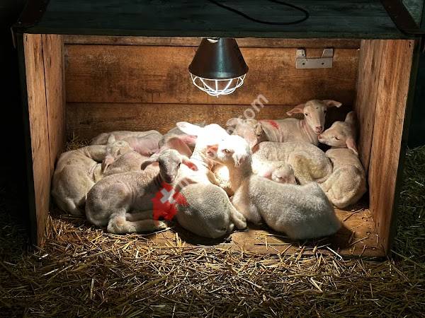 Azienda agricola ValNedro