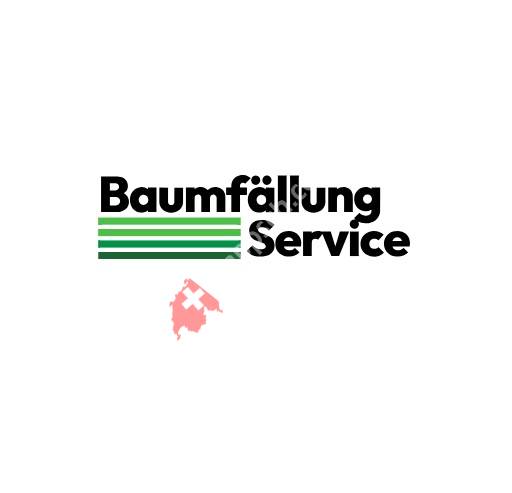 Baumfällung Service