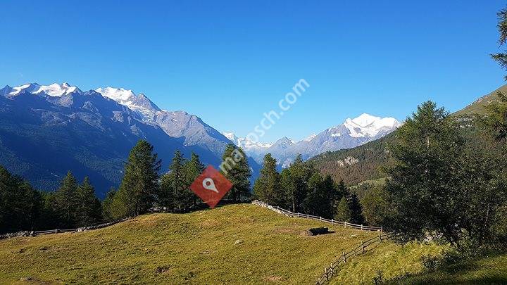 Bergrestaurant Dorbia - Moosalp