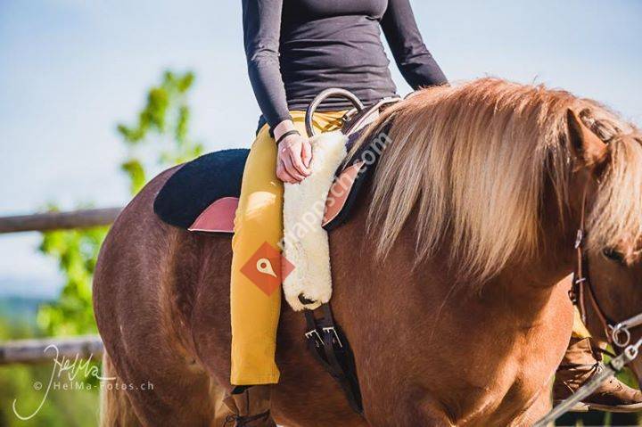 Bewegungspädagogik am Pferd