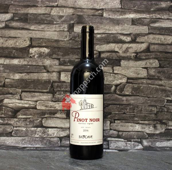 BIOCAVE Marc Güntert