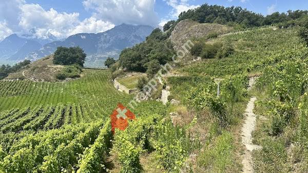 Bisse de Mont d'Orge