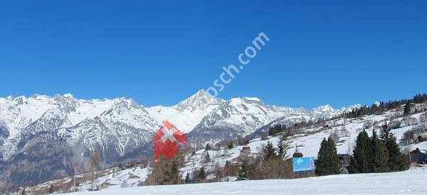 Bürchen, Bürchnerhof