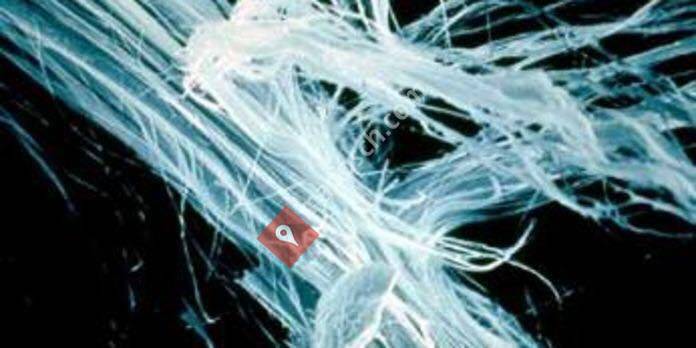 Bureau technique diagnostic amiante