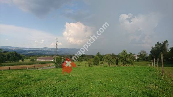 C. Frei Schlosserarbeiten/Montagen