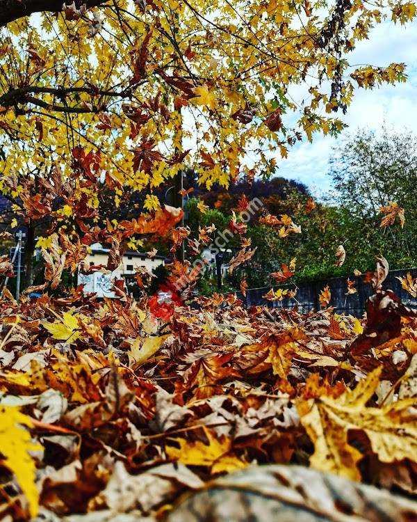 Campo sportivo Camignolo