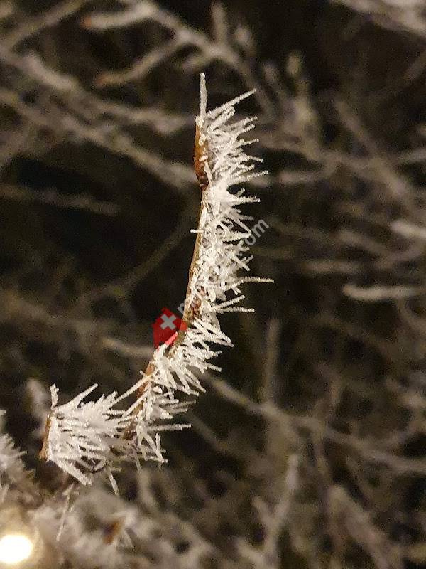 Centre sportif régional vaudois société coopérative