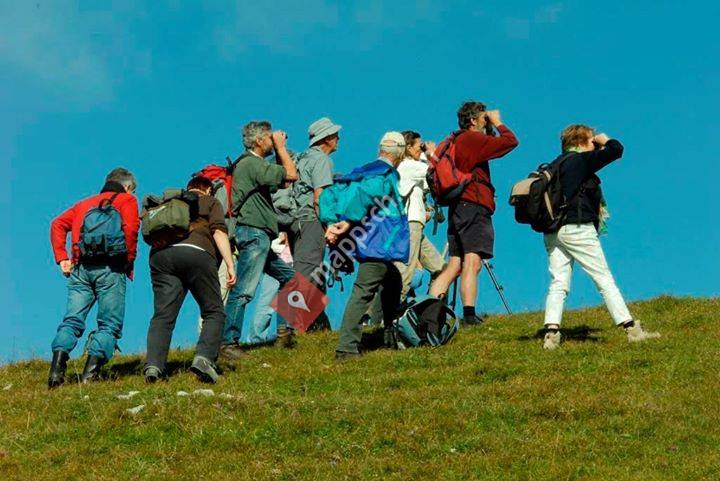 Cercle des Sciences naturelles Nyon - La Côte