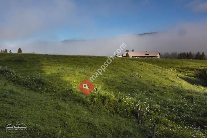 Chalet d'Alpage La Bursine