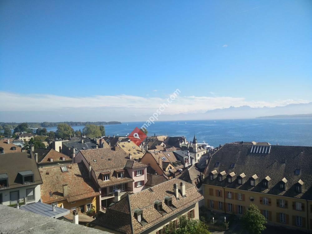 Chateau de Nyon