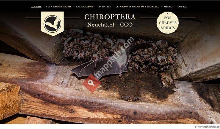 Chiroptera Neuchâtel - CCO