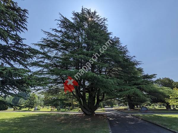Cimetière de Saint-Georges