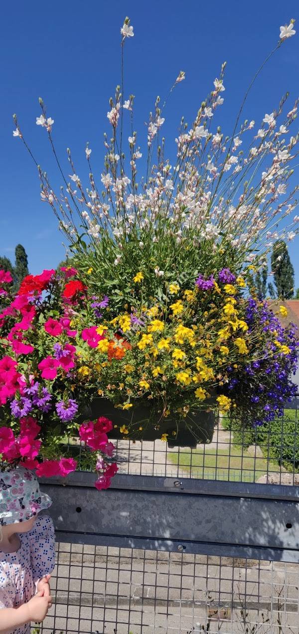 Clair Bois-Chambésy