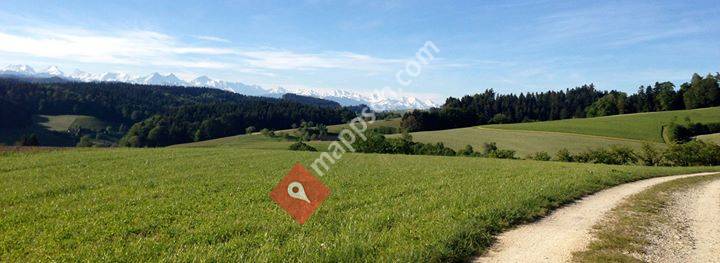 Claudia Mader, Praxis für Lebensfreude