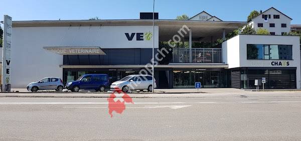 Clinique VETérinaire Delémont