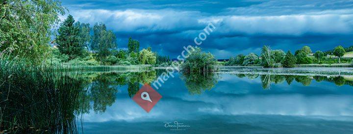 danitaiani-photography