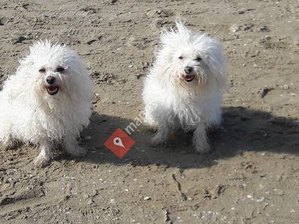 Der Tierarzt Stans AG