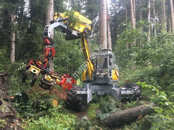 Dettli-Forst Tief und Gartenbau GmbH