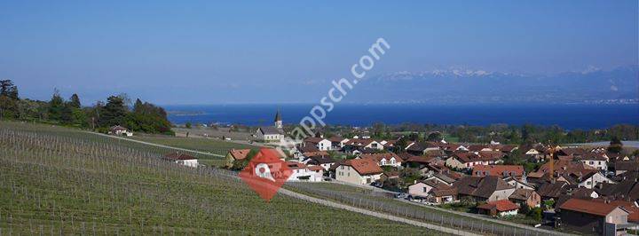 Domaine de Chantegrive SA