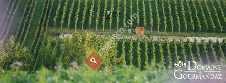 Domaine de Gourmandaz