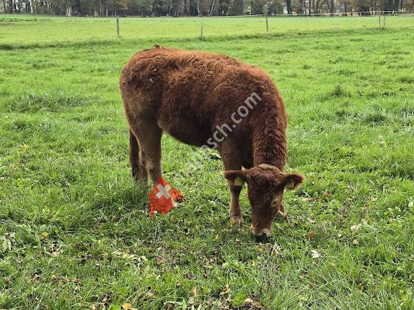 Domaine de L’abbaye Presinge