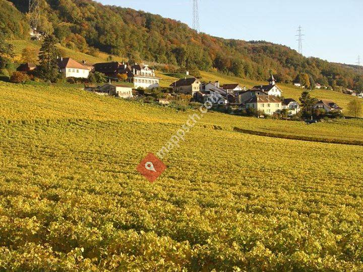 Domaine de la Tuilière