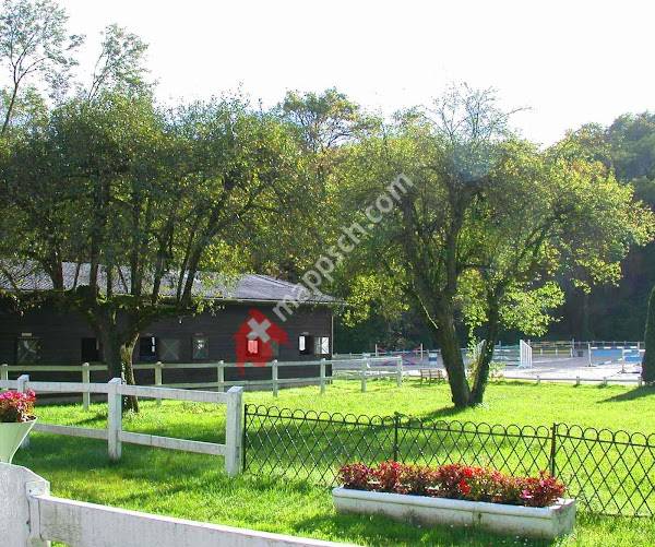 Ecole de dressage SA