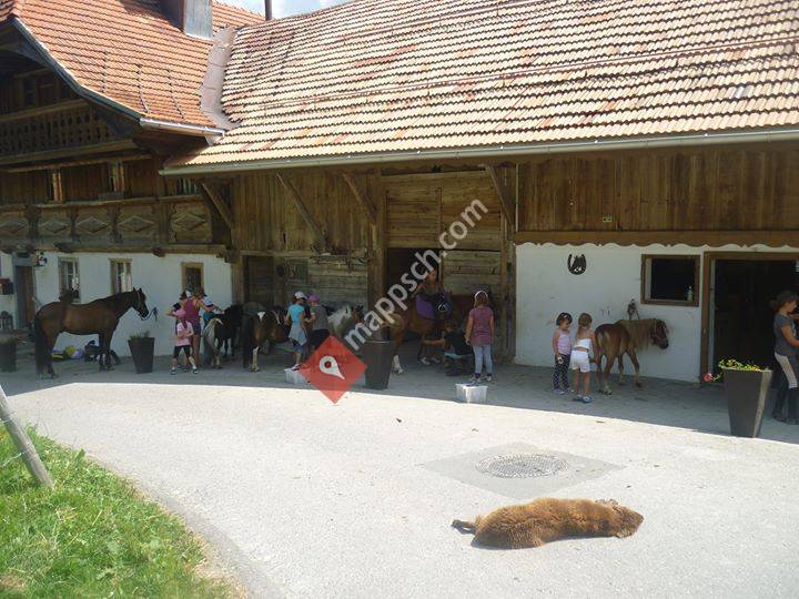 Ecurie du Borgeat en Gruyère