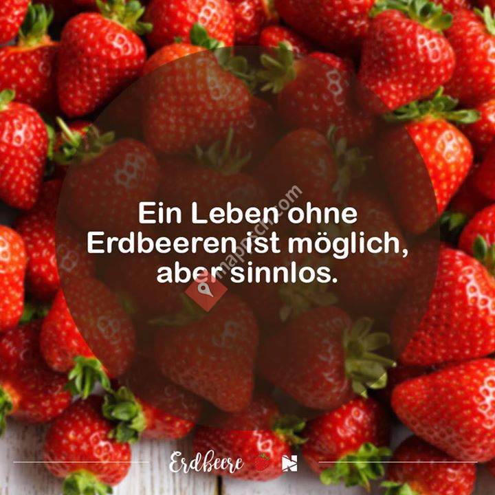 Erdbeeren vom Tösstal