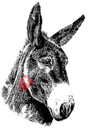 Eselmüller-Stiftung