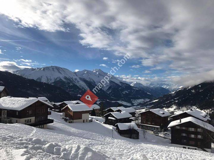 Ferienwohnung 313 Edelweiss Bellwald