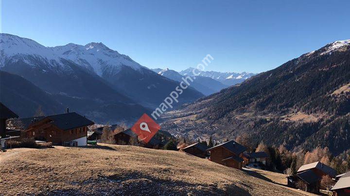 Ferienwohnung Haus Talblick - Bellwald, VS