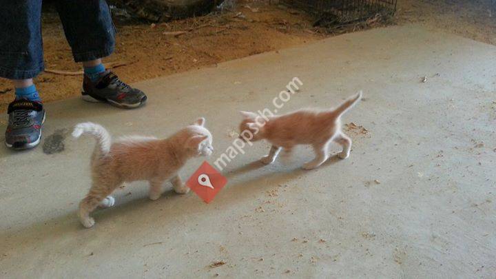 Ferienwohnungen Fortuna