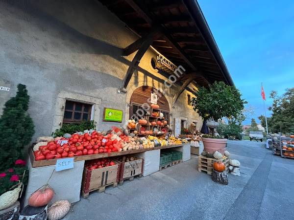 Ferme Fazan - Courges Bio
