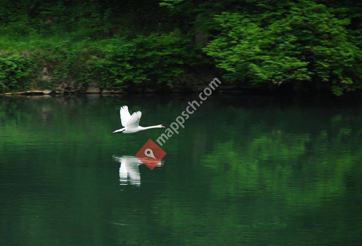 Festival der Stille Kaiserstuhl