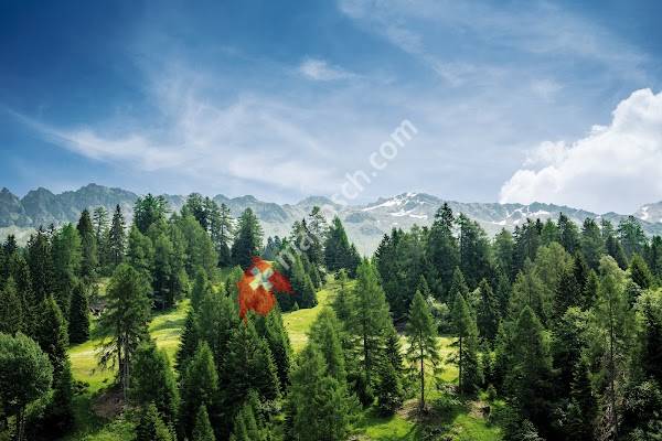 Fleischtrocknerei Churwalden AG - Hauptsitz